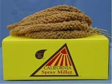 GOLDEN FARMS PRODUCTS 250201 California Gold Spray Millet for Pets, 25-Pound