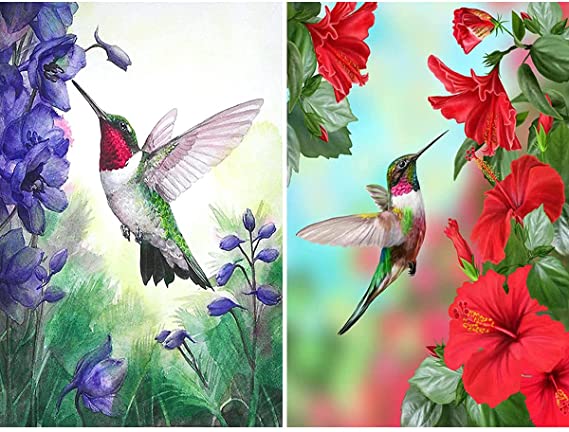 2 Pack 5D Full Drill Diamond Painting Kit,DIY Diamond Rhinestone Painting Kits for Adults and Beginner Embroidery Arts Craft Home Decor, 16 X 12 Inch Hummingbird Collecting Nectar Diamond Painting(3)