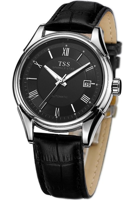 TSS Menss Black Dial Silver Hand Black Leather Band Luminous Quartz Watch