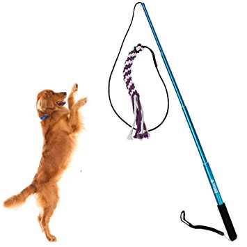 Sanzang Outdoor Interactive Dog Toys Extendable Flirt Pole Funny Chasing Tail Teaser and Exerciser for Pets (S, Blue)