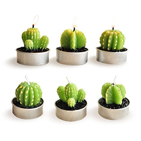 E-dance 6 Pcs Decorative Cactus Candles Mini Cute Tealight Candles for Home Decor Gift Birthday Party