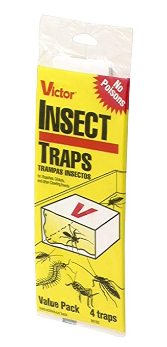 Victor Poison-Free M193 Insect Trap, 4-Pack