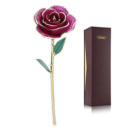 Zjchao Gold Rose love forever Long Stem Dipped 24K Rose Foil Trim,Gifts for Her (Purple)