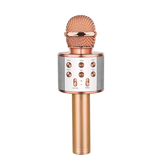Dreamingbox Bluetooth Wireless Karaoke Microphone - Best Gifts