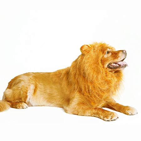 Lovelion Lion Mane Wig for Dog Costume