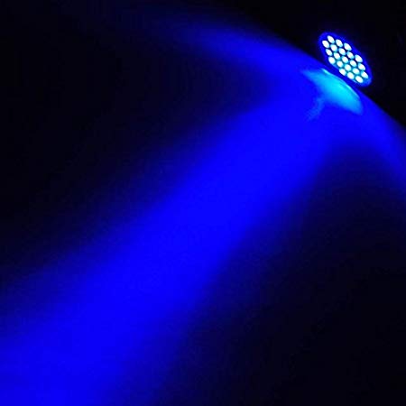 LEDwholesalers Crime Scene Blue LED Flashlight 455-460nm 3xAAA Torch (12-Pack), 7305BLUEx12