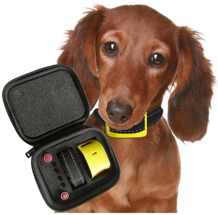 Our K9 Yellow - Pet Safe Dog Bark Collar - Durable Training Collars for Small High Energy Dogs - Strong, Lightweight, Adjustable Design - Safe for Pets 6 Lbs. and Up - Uses Vibration, Not Shock
