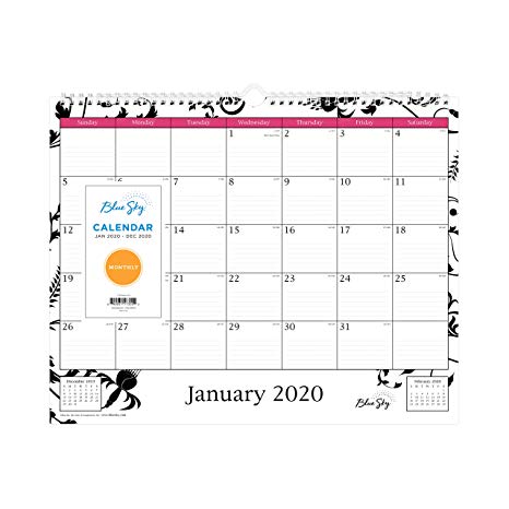 Blue Sky 2020 Monthly Wall Calendar, Twin Wire Binding, Ruled Blocks, 15" x 12", Analeis