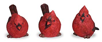 BANBERRY DESIGNS Cardinal Figurine Birds Decoration - Set of 3 Styles - 4 Inch High