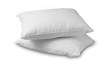 Premium 100% White Goose Down Firm Pillow, Set of 2 (Standard)