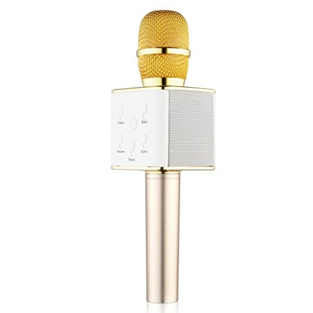 BONAOK Portable Wireless Karaoke Microphone, 2200mAh Built-in Bluetooth Speaker Karaoke Machine(Gold)