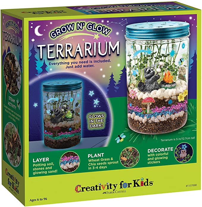 Creativity for Kids Grow 'N Glow Terrarium Kit for Kids - Science Activities for Kids (Packaging May Vary)