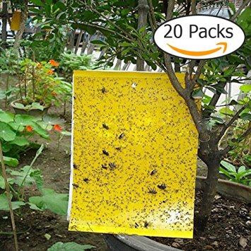 Trapro 20-Pack Dual-Sided Yellow Sticky Traps for Fungus Gnats, Aphids, Whiteflies, Leafminers, Bugs, other Flying Insects - (6*8 Inches, Twist Ties Included)