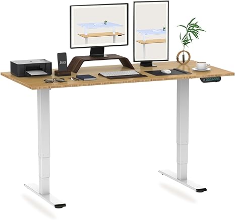 FLEXISPOT E5 160x80cm Electric Standing Desk Dual Motors 3 Stage Height Adjustable Desk One Piece Desktop FSC Certification Sit Stand Desk Stand Up Desk with Memory Smart Pannel(White Frame Bamboo)