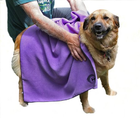 Pet Towel - High Quality Woven Microfiber - Dry Paw Dries Your Pet Faster - Dense Weave Does Not Trap Fur - Simply the Best Available - 28"X 50" - Use One For The Beach, Yoga, Gym, Spa, Camping, Makes a Great Gift