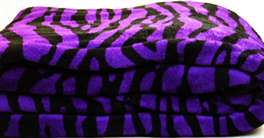 Violet Zebra Super Soft Coral Fleece Blanket Queen 92"x76"