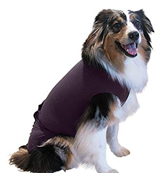 Surgi Snuggly Washable Disposable Dog Diapers Keeper - for Male and Female Dogs - Fits Puppies to Adult Dogs - A Simple Solution to an Everyday Problem