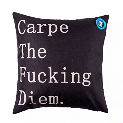 DolphineShow Cotton Linen Square Carpe the fucking Diem Pattern Sofa Simple Pillow Cushion Cover 18x18 Inches Fathers Day Gifts