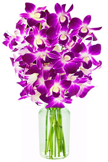 KaBloom The Ultimate Purple Orchid Bouquet of 10 Exotic Purple Dendrobium Orchids from Thailand with Vase