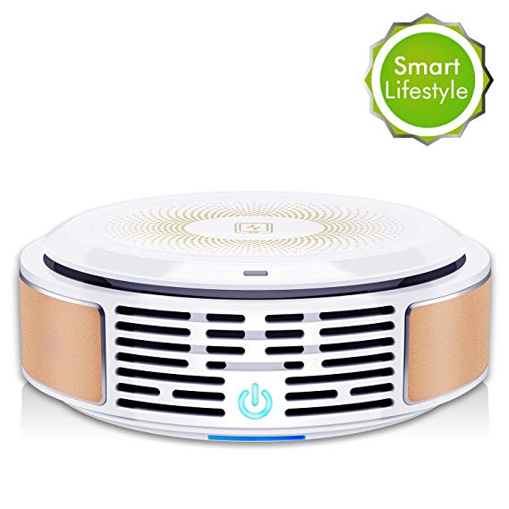 Air Purifier With True HEPA Filter, 3-In-1 Air Cleaner, Portable & Quiet, Eliminates 99.98% Pollen, Dust, Pet Dander, Smoke, Mold, Germs, Odor Cleaner For Allergies/Home/Office/Car/Pet Owner/Smoker