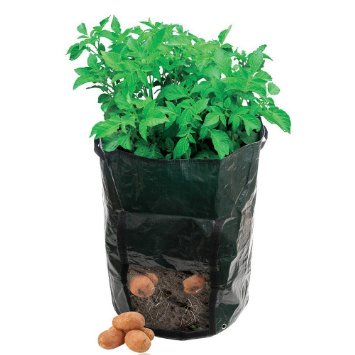 Amgate Garden Potato Grow Bag Vegetables Planter with Access Flap for Harvesting ~ Eco-friendly Waterproof Pe ~ 14" Diameter X 18" Height (1)