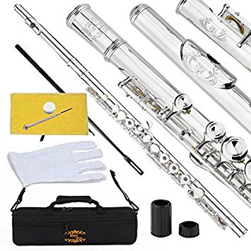 ENGRAVED SILVER Plated CLOSED HOLE High Grade Flute, Glory Closed Hole C Flute With Case, Tuning Rod and Cloth,Joint Grease and Gloves-Click to see more colors