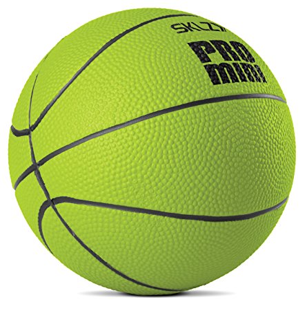 SKLZ Pro Mini Swish Foam Ball