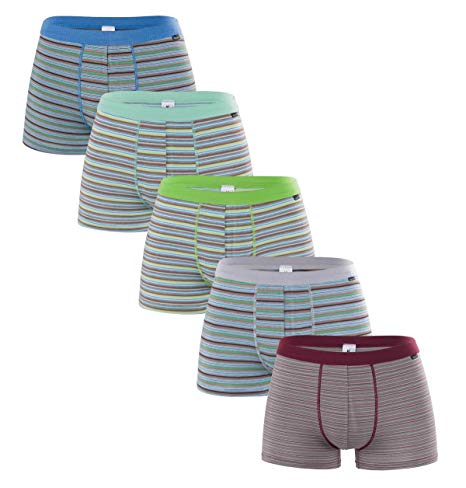 Men's Luxury Bamboo Boxer Underwear Ultra Soft and Breathable Stripes Boxer Briefs 5 Pack