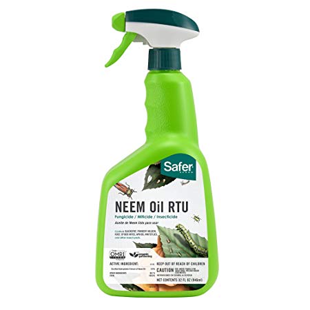 Safer 5180-6 Neem Oil Ready-to-Use Brand Fungicide, 1 Pack, Green