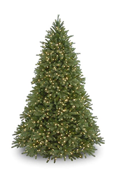 National Tree 7.5 Foot "Feel Real" Jersey Fir with 1250 Clear Lights (PEJF1-300-75)