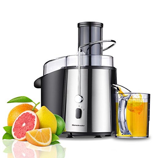 Homeleader Juicer Wide Mouth Fruit and Vegetables Juice Extractor,Stainless Steel Juicer Machine,2 Speed Steeting Masticating Juicer Centrifugal Juicer,700W