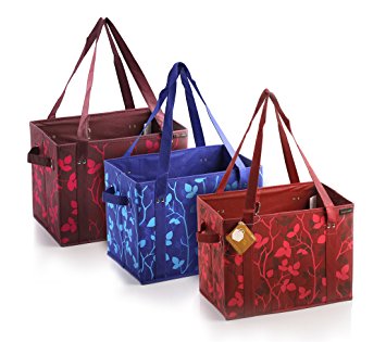 PreserveNext Reusable Classic Tote / Collapsible Shopping Box Set with Reinforced Bottom, Side Handles and Key Ring Clasp - Assorted (3 Pack)