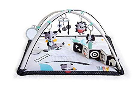 Tiny Love Black & White Gymini Deluxe Infant Activity Play Mat, Magical Tales