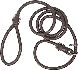 Genuine Rolled Leather Slip Dog Leash and Adjustable Choke Collar British Style Lead 6ft Long Brown (XLarge: 5/8" Diam)