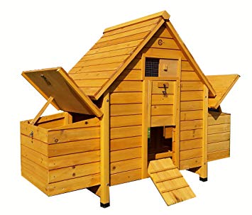 Cocoon CHICKEN COOP HEN HOUSE POULTRY ARK NEST BOX WITH 4 NEST BOXES & CLEANING TRAY - 4 STANDARD OR 6 SMALL BIRDS (2016 MODEL)