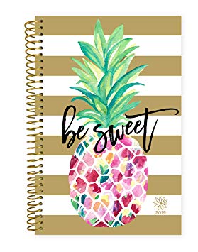 bloom daily planners 2019 Calendar Year Day Planner - Passion/Goal Organizer - Monthly and Weekly Dated Agenda Book - (January 2019 - December 2019) - 6" x 8.25" - Pineapple