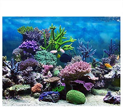 Aquarium Background Fish Tank Decorations Pictures PVC Adhesive Poster Underwater Coral Backdrop Decoration Paper Cling Decals Sticker(122 * 50cm)