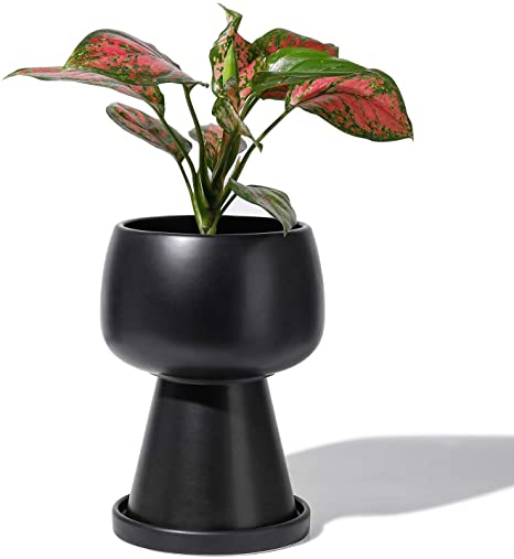 Unique Planter Pots for Plants Indoor - 4.9 Inch Glazed Ceramic Modern Flower Pot Bonsai Container with Drainage Holes & Saucer(POTEY 054602, Plants Not Included)