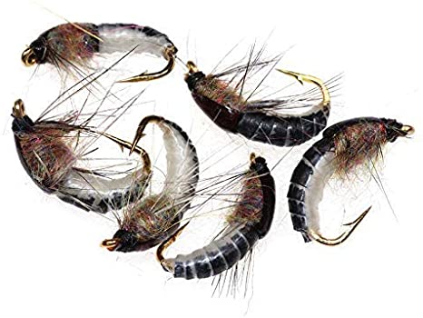 Fly Fishing Flies-6pcs Handmade Fly Fishing Lures-Wet Flies,Nymph,Scud