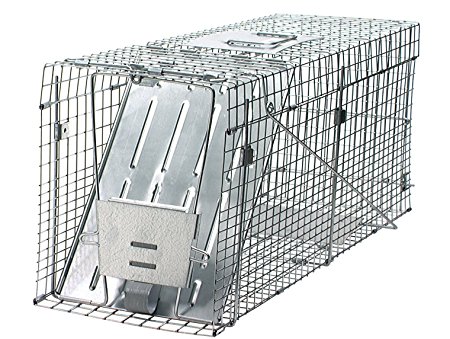 Havahart Collapsible Large Animal Cage Trap