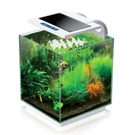 Vepotek AQUARIUM FISH TANK NANO Kit 4 Gallons w/LED light and filter