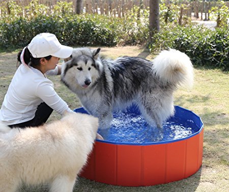 Pidsen Foldable Swimming Pool for Dogs Bathing Tub for Dogs,Cats or Kids