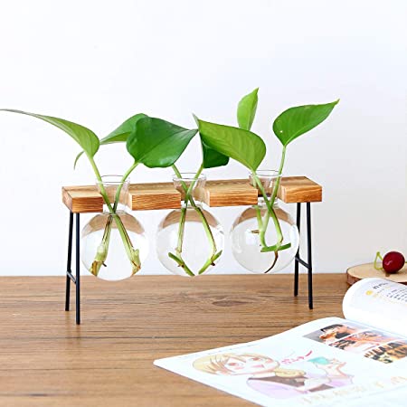 DEDC Bulb Vase Desktop Glass Planter Bulb Vase with Retro Solid Wooden Stand for Hydroponic Plant Garden Wedding Decoration (3 Bulbs)