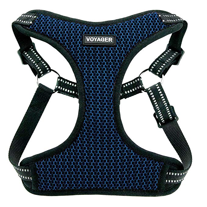 Voyager Step-In Flex Dog Harness - All Weather Mesh, Step In Adjustable Harness for Small and Medium Dogs by Best Pet Supplies