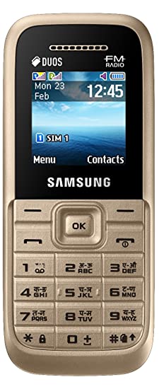 Samsung Guru FM Plus (Gold)