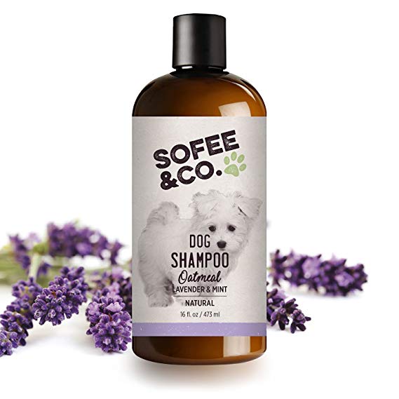 NEW Natural Oatmeal Dog Shampoo, Lavender & Mint – Clean, moisturize, soothe, soften dry itchy allergy sensitive skin. Deodorize & Freshen. Puppies Shih Tzu Bichon Maltese Poodle Yorkie 16oz