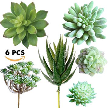 Supla Pack of 6 Assorted Artificial Echeveria Succulent Picks Textured Faux Succulent Pick Agave Cactus in different Green for Fake Succulent Bouquet Floral Arrangement