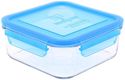 Wean Green Wean Meal Cube Glass Food Containers, Blueberry, Single