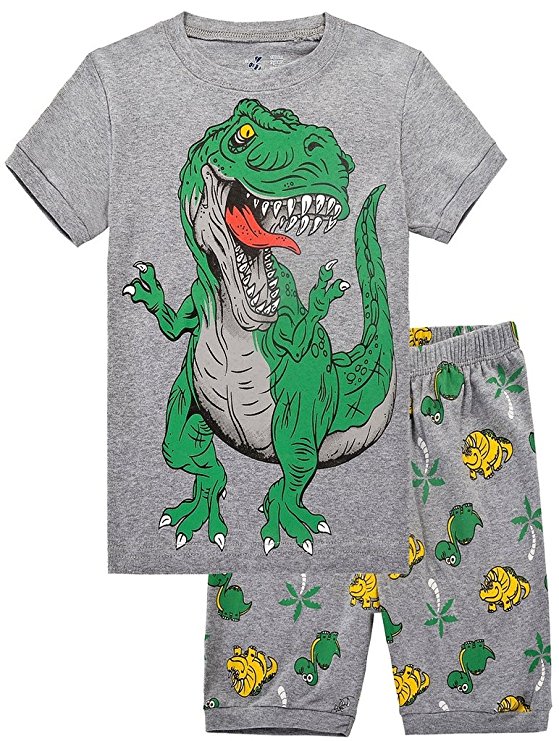 Boys Dinosaurs PJs 2 Piece Sleepwear Pajamas Short Sets