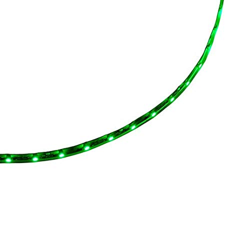 LEDwholesalers 16ft Flexible LED Ribbon with 300xSMD3528, Green, 2026GN